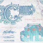 The It's Not You, It's Me Tour