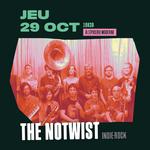 THE NOTWIST à L'Épicerie Moderne (Lyon)