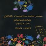 zuzmo - Dolgok amik eszembe jutnak // LEMEZBEMUTATÓ // Dürer Kert // vendég: ShoeS