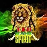 Jah Spirit at Brooklone Festival