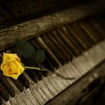 The Noah Peterson Trio at Cuba 1918