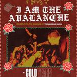 I Am the Avalanche at Voodoo (with: Cold Years)