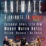 ANIMATE: A Tribute To Rush - Live at the Muddy Water Hotel