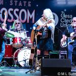 Apple Bloson Festival  2026