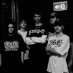 BLUE MOUNTAINS BEATDOWN VOL:II