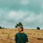 The Franklin Electric