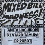 The Pot Belly Amita Hachidori & accordion Kentaro Tamura (Canberra)