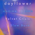 Leicester (with Dayflower & more)
