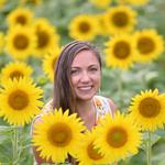 Brookford Farm Sunflower Soiree