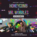 Honeycomb + Mr. Wobbles Live in Los Angeles