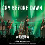 Wexford Spiegeltent Festival 