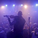 Clejan at Good Wood Whiskey Brewery