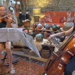 duo Cassandre Violon Violoncelle