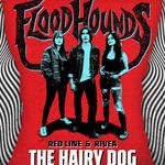 FloodHounds