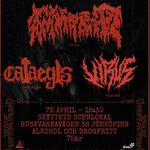 Immerits, cataegis, Virus