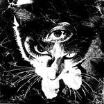 Album Release ONE-MAN SHOW"Remains"