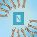 Toffler Festival 2026