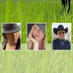 Wermlandica - Ett stänk av himmelrik’