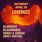 Glorious, Bloomwave, Honey&Virosa, and Sweet Ventura at Love Buzz