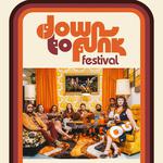 The Gold Souls at Down to Funk Festival 2026