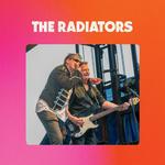 The Radiators at Mundi Mundi Bash 2026, QLD