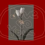 “TOYOHIRO MATSUSHIMA PHOTO EXHIBITION”  -Closing Event-