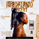 Afropiano concert 