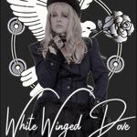 White Winged Dove @ Gold Canyon Golf Resort & Spa,