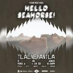 Hello Seahorse! en tlalnepantla