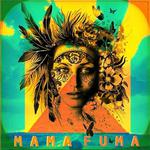 Captain Curt's Sniki Tiki - Siesta Key