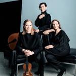 SHMF / Schloss Gripsholm mit Johann von Bülow