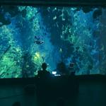 Norwich and Norfolk Festival 2026