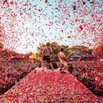 Spoegwolf Live by Hennie's Jolly Prawn, Centurion