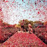 Afrikaans Oppi Platteland 2026