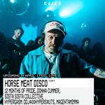 I FEEL LOVE: Horse Meat Disco (UK)