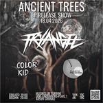 Museums RockNight Vol. 4