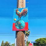 The Roosters live at Killer Shrimp