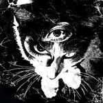 「Remains Tour 2026」 Live in Bangkok