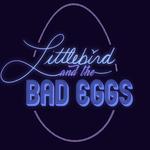 littlebird duo at Scott Park, Easton