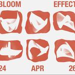 bloom effect at the painted lady