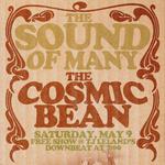 LIVE AT TJ LELANDS W/ THE SOUNDS OF MANY / THE COSMIC BEAN