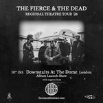  The Fierce & The Dead at Downstairs At The Dome - Album Release Show