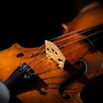 New Zealand String Quartet presents: A Storioni Celebration