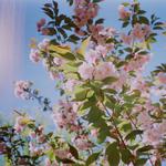 вайбовий майже сольник світанку