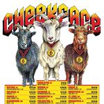 Cheekface with Apes Of The State at Spirit Hall