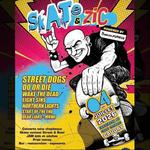 Skate & Zik Festival 2026