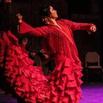 Summer Tablao Flamenco Wednesdays - Flamenco Paraguas 2026 Summer