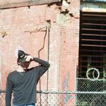 Ovven at Folk on the Farm