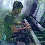 Concerto notturno nella lavanda