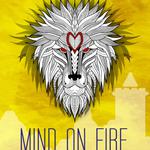 AwA Live at Mind on Fire Festival